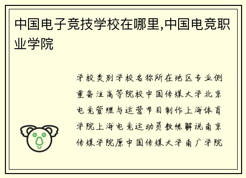 中国电子竞技学校在哪里,中国电竞职业学院